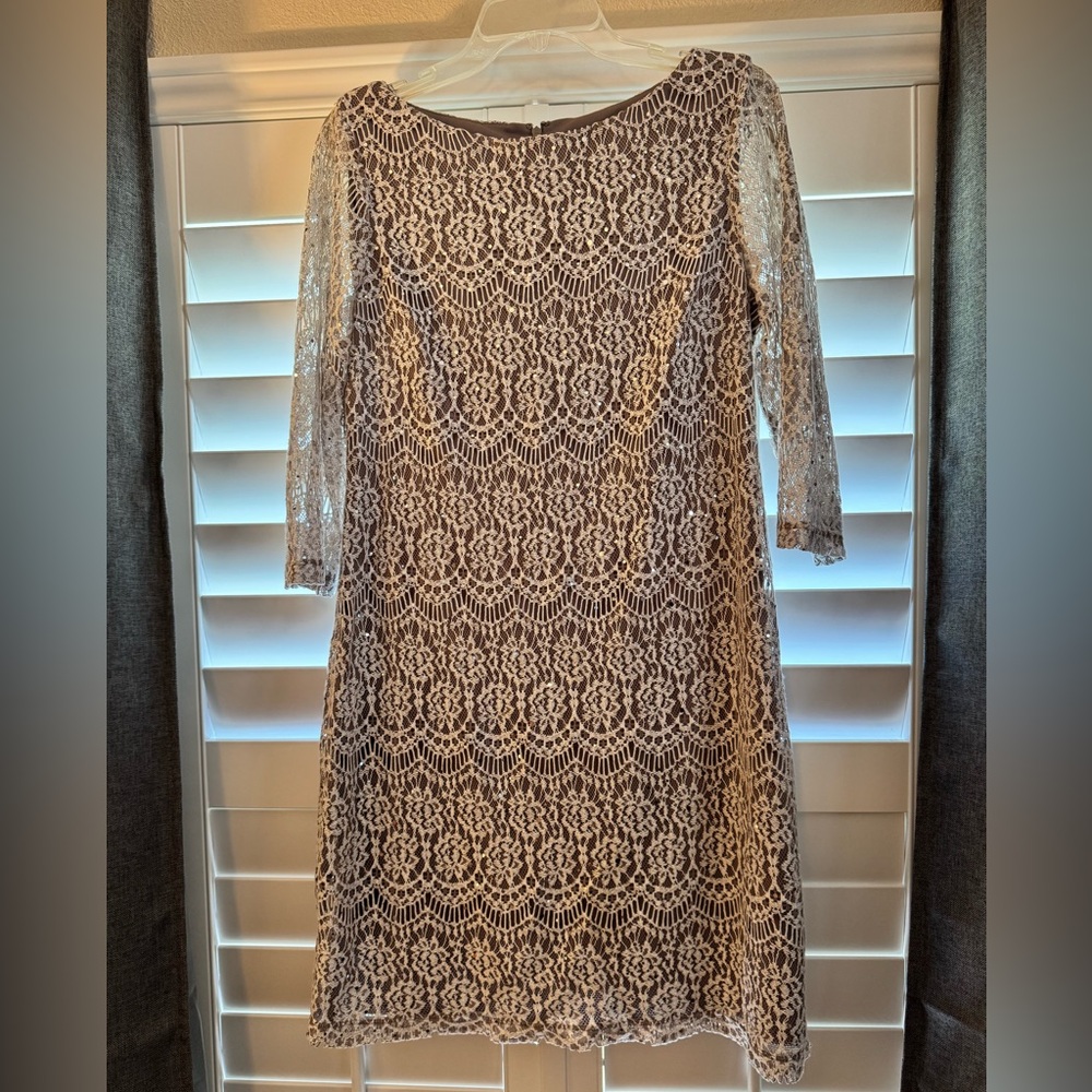 Elegant Lace Dress